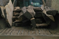 received_1738979296123805