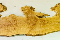 Studio_Gallery_3