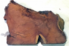 Studio_Gallery_32