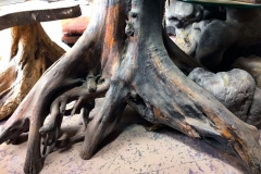 Studio_Gallery_51